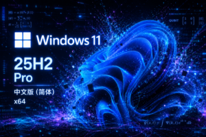 Windows11_25H2_64位简体中文专业版分享-windows下载站