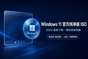 windows11 25H2 微软纯净 ISO 直链下载分享-windows下载站