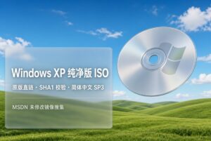 Windows XP 简体中文专业版 SP3(VL 大客户版)原版ISO直链下载分享-windows下载站